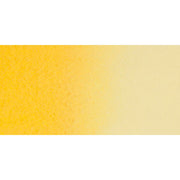 Turners Yellow
