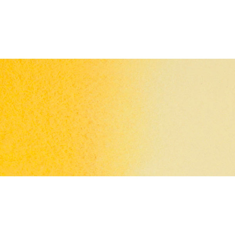 Turners Yellow