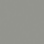 Warm Gray 06 - Mepxy Brush Marker