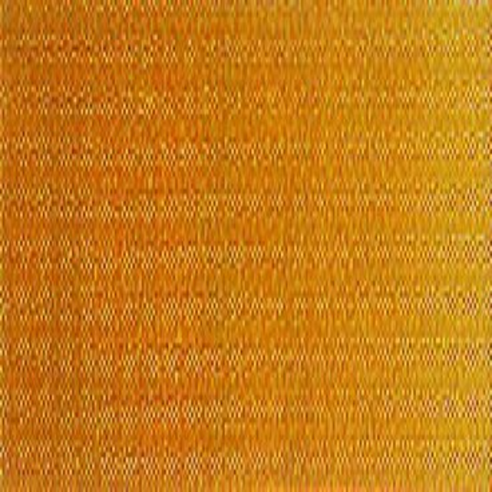 Winsor & Newton Winton Oil Colour - Raw Sienna