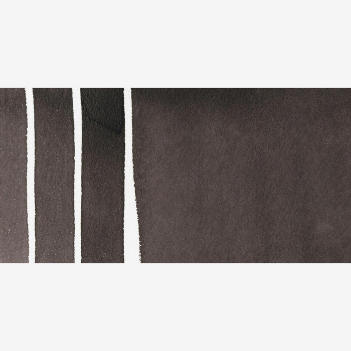 Neutral Tint