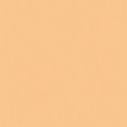 Yellow Orange - Mepxy Brush Marker
