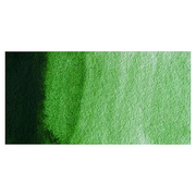 Winsor & Newton Artists Watercolour - Hooker's Green colour swatch