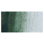 Winsor & Newton Artists Watercolour - Terre Verte colour swatch