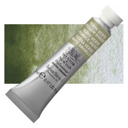 Winsor & Newton Artists Watercolour - Terre Verte (Yellow Shade) - Winsor & Newton Artists Watercolour