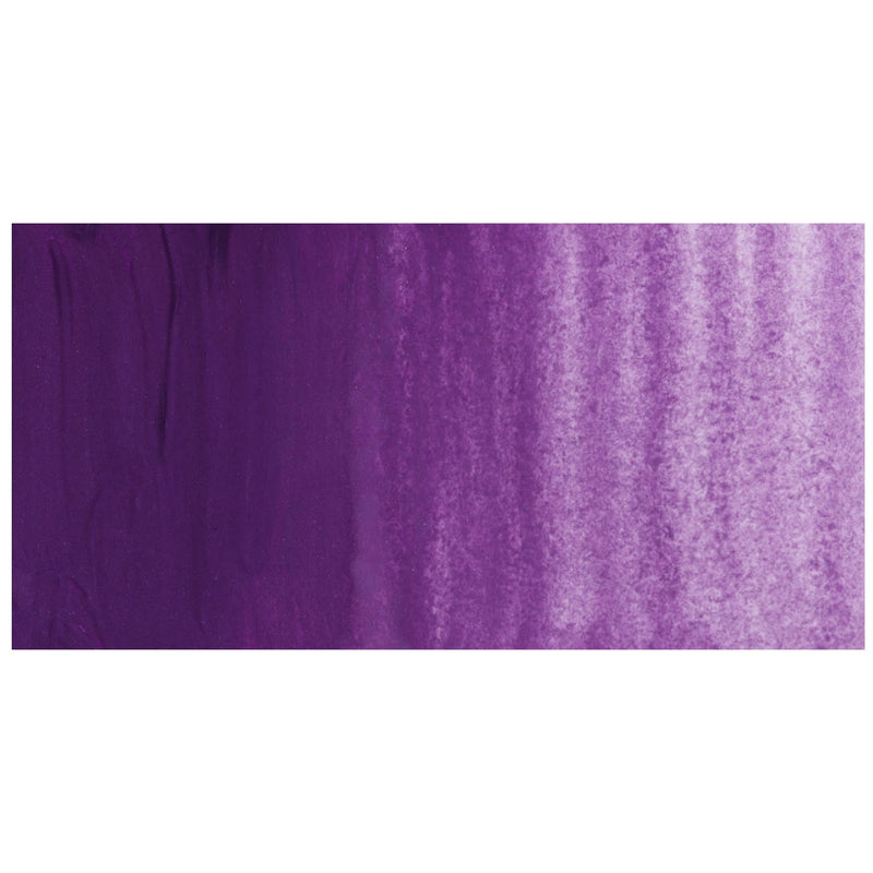 Flinders Blue Violet