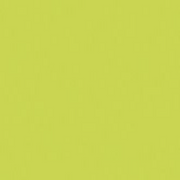 Yellow Green - Mepxy Brush Marker
