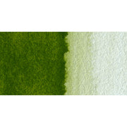 Olive Green Yellowish