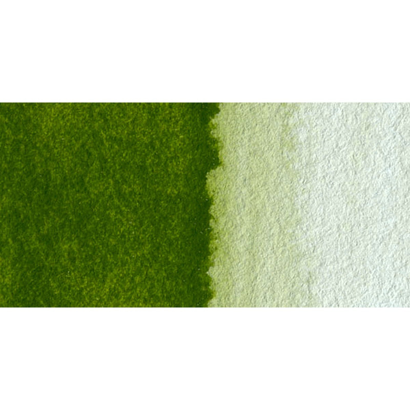 Olive Green Yellowish