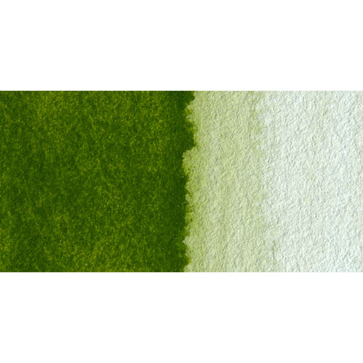 Olive Green Yellowish