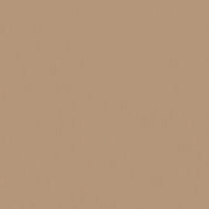 Grayish Brown - Mepxy Brush Marker
