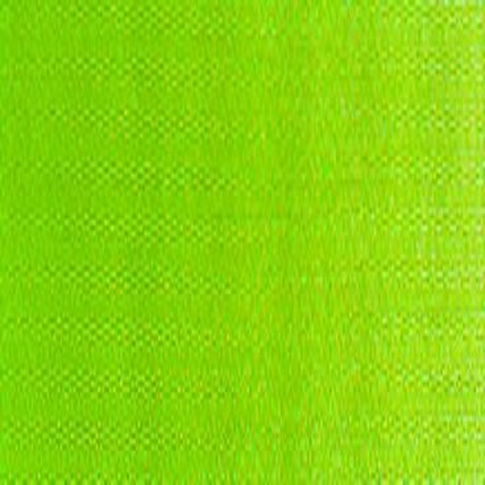 Winsor & Newton Winton Oil Colour - Sap Green