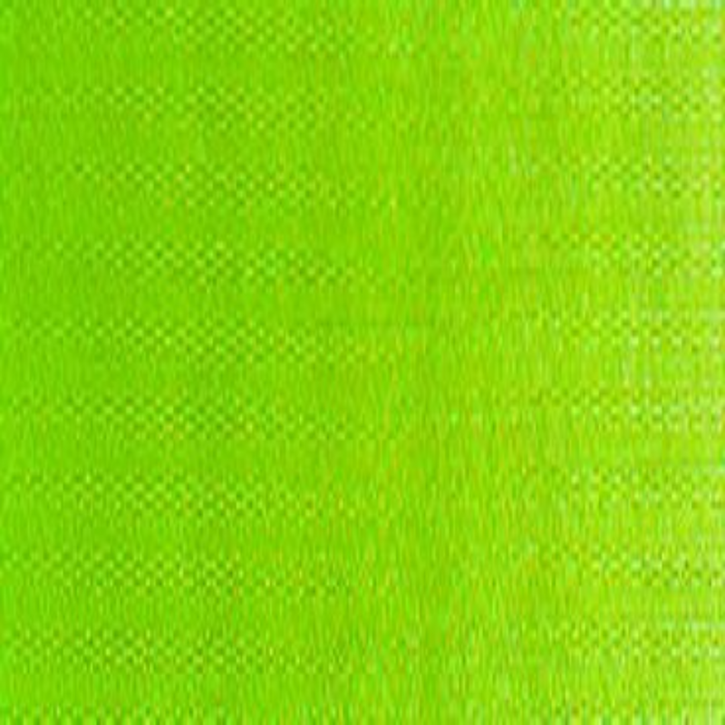 Winsor & Newton Winton Oil Colour - Sap Green