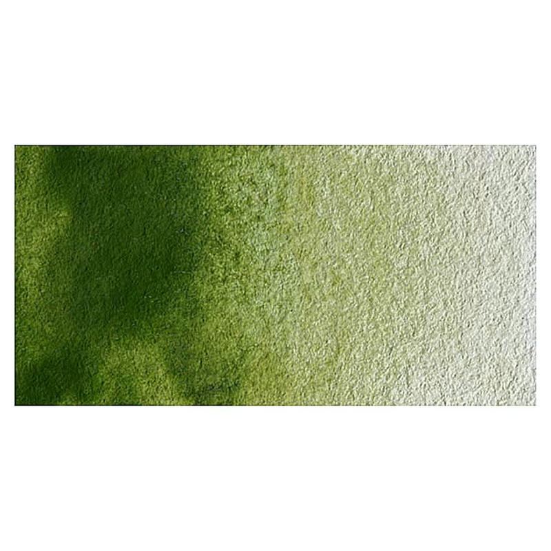 Winsor & Newton Artists Watercolour - Olive Green colour swatch
