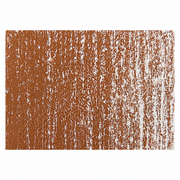 Burnt Sienna 548T