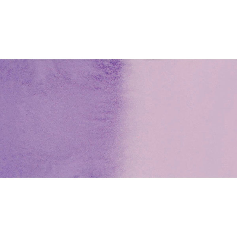 Quin Purple