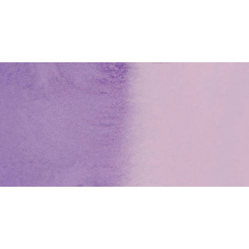 Quin Purple