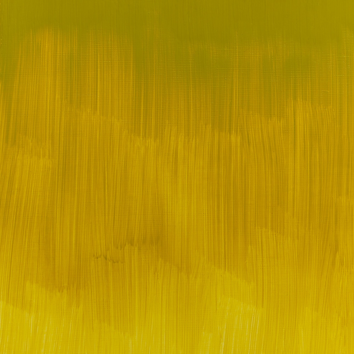 Winsor & Newton Winton Oil Colour - Azo Yellow Green