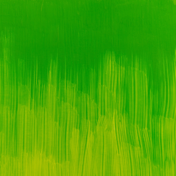Winsor & Newton Winton Oil Colour - Phthalocyanine Yellow Green