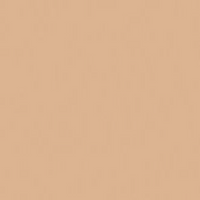 Medal Bronze - Mepxy Brush Marker