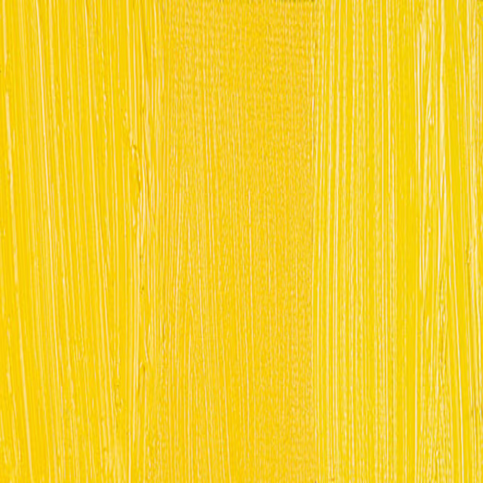 Winsor & Newton Winton Oil Colour - Cadmium Yellow Pale