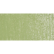 Olive Green 1