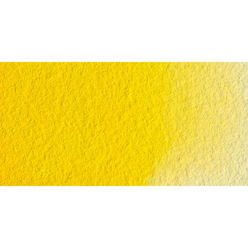 Cadmium Yellow Middle