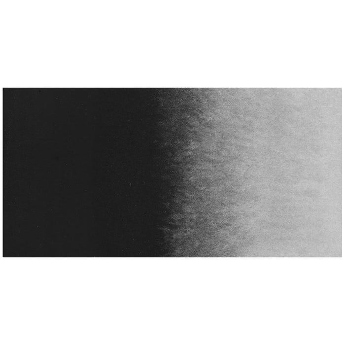 Neutral Tint