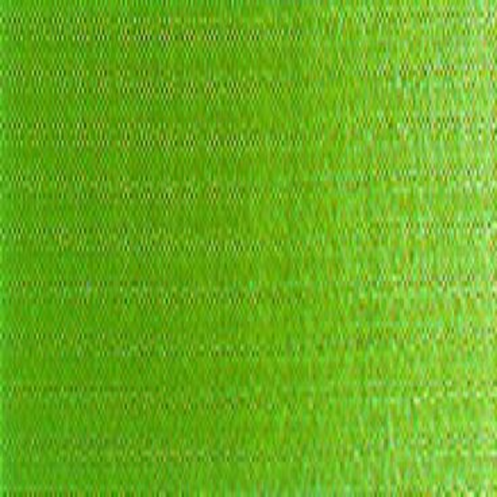 Winsor & Newton Winton Oil Colour - Terre Verte