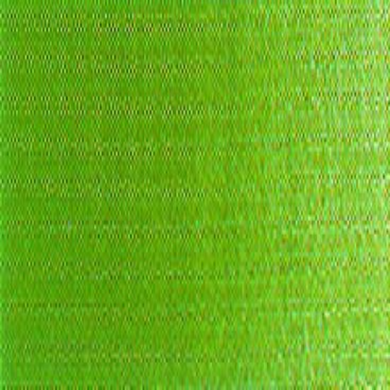Winsor & Newton Winton Oil Colour - Terre Verte