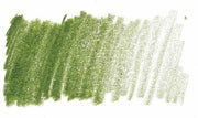 Kelp Green