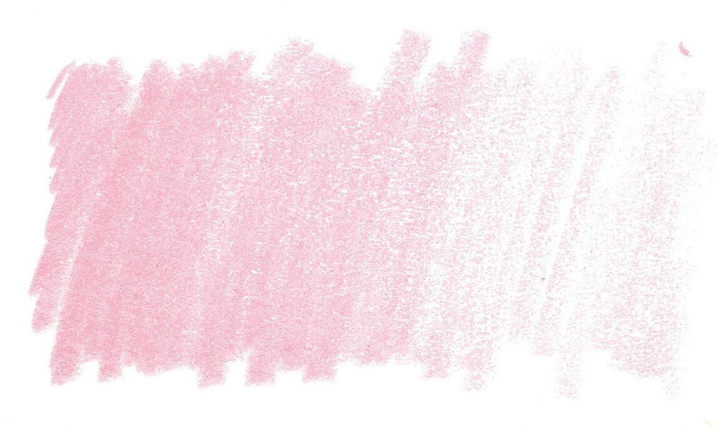 Pink Rose