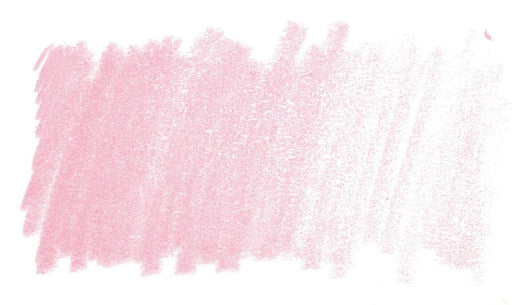 Pink Rose