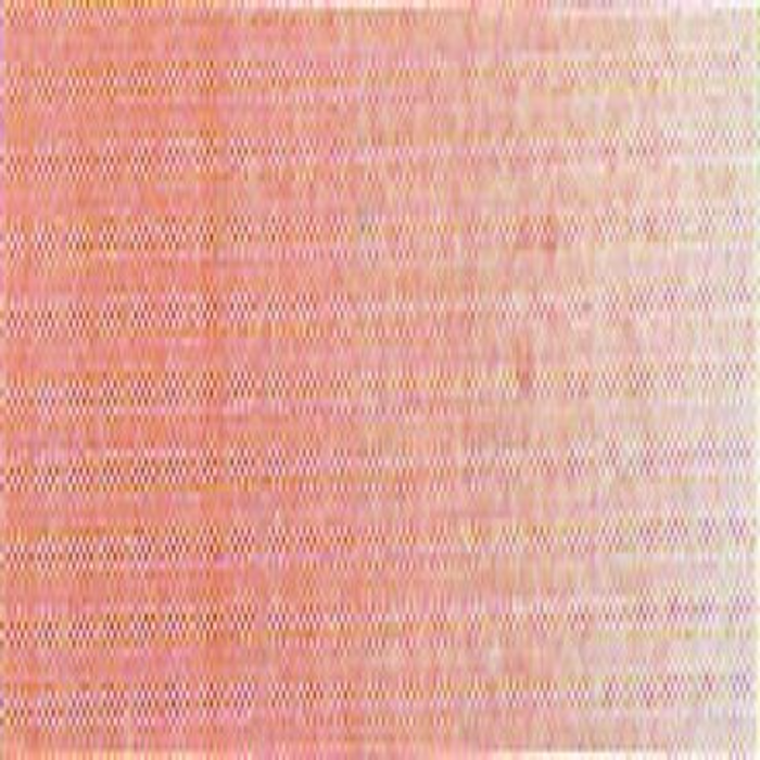 Winsor & Newton Winton Oil Colour - Flesh Tint