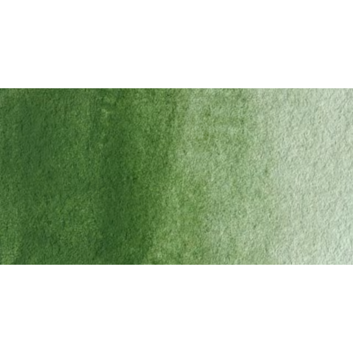 Winsor & Newton Artists Watercolour - Oxide Of Chromium colour swatch