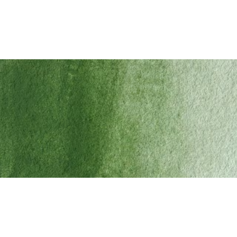 Winsor & Newton Artists Watercolour - Oxide Of Chromium colour swatch