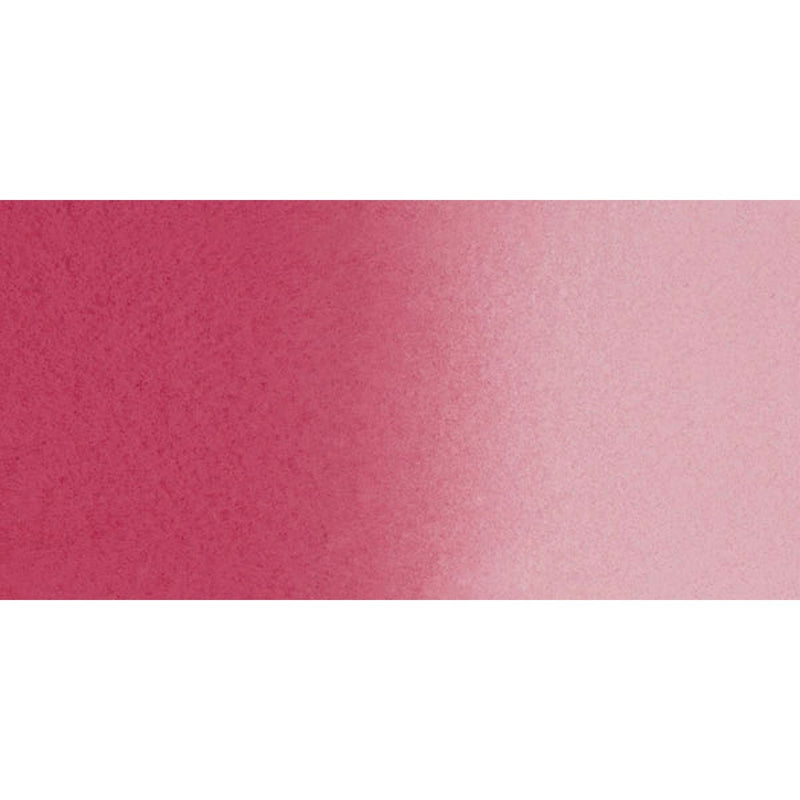 Potters Pink