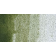 Winsor & Newton Artists Watercolour - Terre Verte (Yellow Shade) colour swatch
