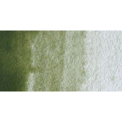 Winsor & Newton Artists Watercolour - Terre Verte (Yellow Shade) colour swatch