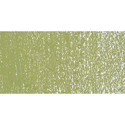 Olive Green 1