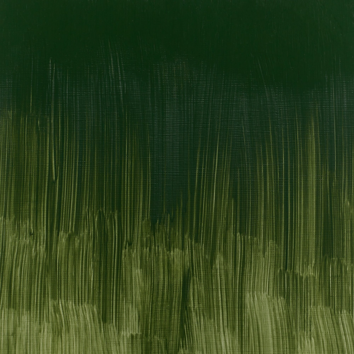 Winsor & Newton Winton Oil Colour - Dark Verdigris