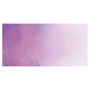 Duochrome Hibiscus