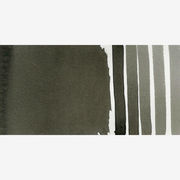 Alvaro's Caliente Grey