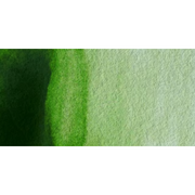 Winsor & Newton Artists Watercolour - Permanent Sap Green colour swatch