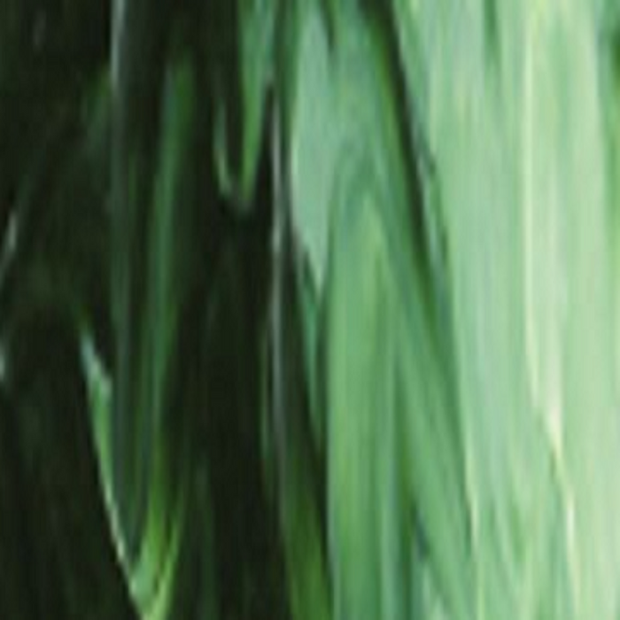 Matisse Structure Formula Acrylic - Australian Olive Green