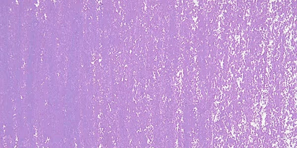Manganese Violet