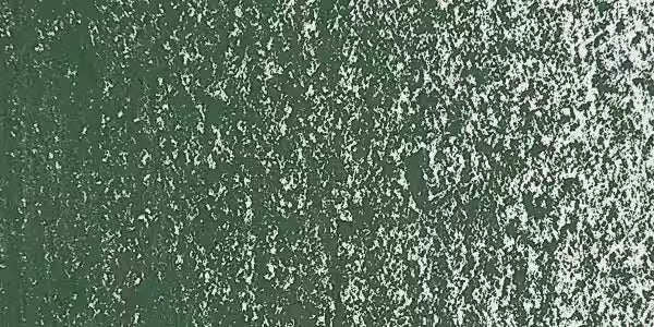 Leaf Green Deep