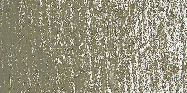 Greenish Grey 1