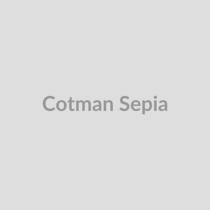 Winsor & Newton Cotman Watercolours Sepia