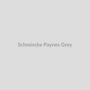 Schmincke Payne's Grey